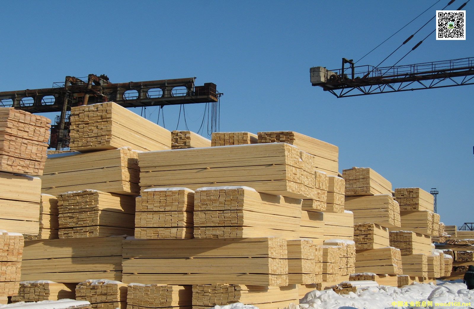 ½ɽږ|ľI(y)Q(mo)װ䏲