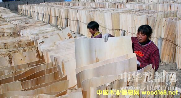 (xing)(zhn)(yu)|(zh)ƤN(xio)Kɽ|յʡ